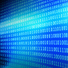 Net Domain LLC