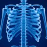 RiB
