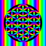 msdv