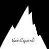 use.expert