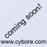 Cybore2