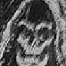 skullkrax