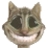 Mad Cat
