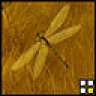 NovaDragonfly