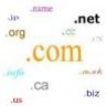 bestdomain