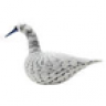 thegreyswan