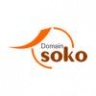 DomainSoko