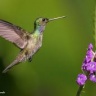 parmeshwarsnooze