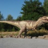 dinosaur8600