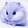 chrisqie