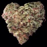 the high leaf