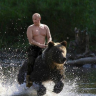 VladBearMaster