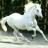 mookesh