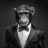 curiousmonkey