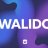 walidboudad43
