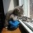 kobalt