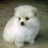 nellie1208