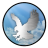 silver_hawk4
