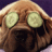 Woof