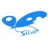 neo16silver