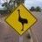 emu