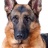 patrocle