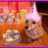 LovinDoggies