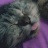 AdYe